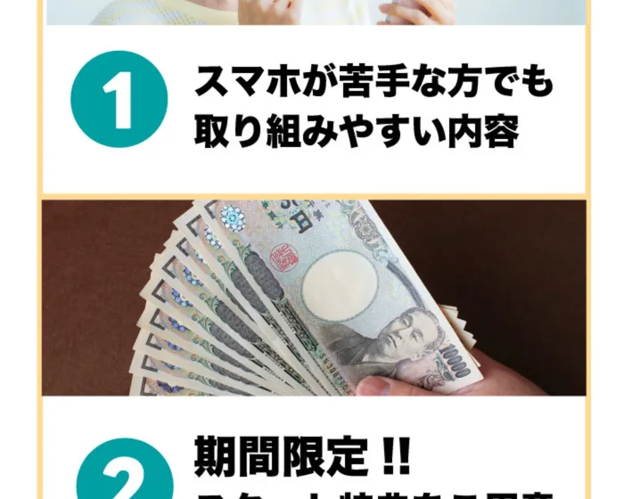 『スマホが苦手な方でも取り組みやすい内容』『期間限定』と札束の写真とともに書かれた広告